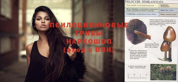 spice Алексин