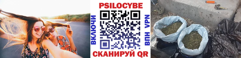 дарнет шоп  Анапа  Галлюциногенные грибы Magic Shrooms 